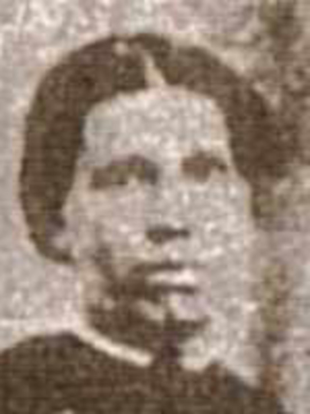 Ann Davis (1840 - 1925) Profile